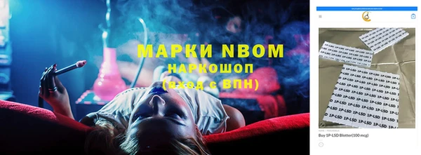 ГАЛЛЮЦИНОГЕННЫЕ ГРИБЫ Абаза