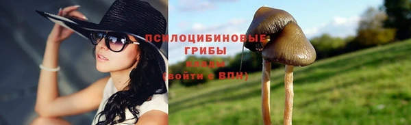 ГАЛЛЮЦИНОГЕННЫЕ ГРИБЫ Абаза