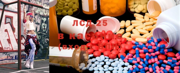 ГАЛЛЮЦИНОГЕННЫЕ ГРИБЫ Абаза