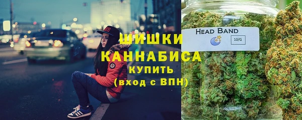 ГАЛЛЮЦИНОГЕННЫЕ ГРИБЫ Абаза