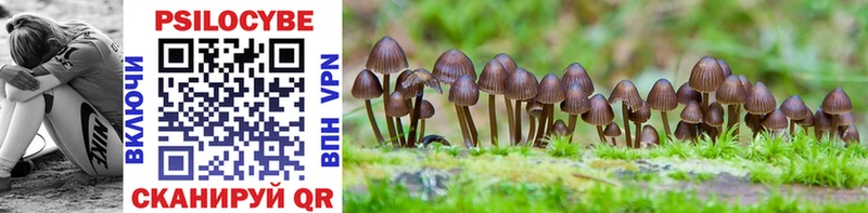 даркнет сайт  Монино  Псилоцибиновые грибы MAGIC MUSHROOMS 